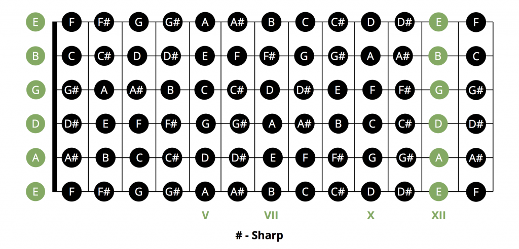 fretboard-notes